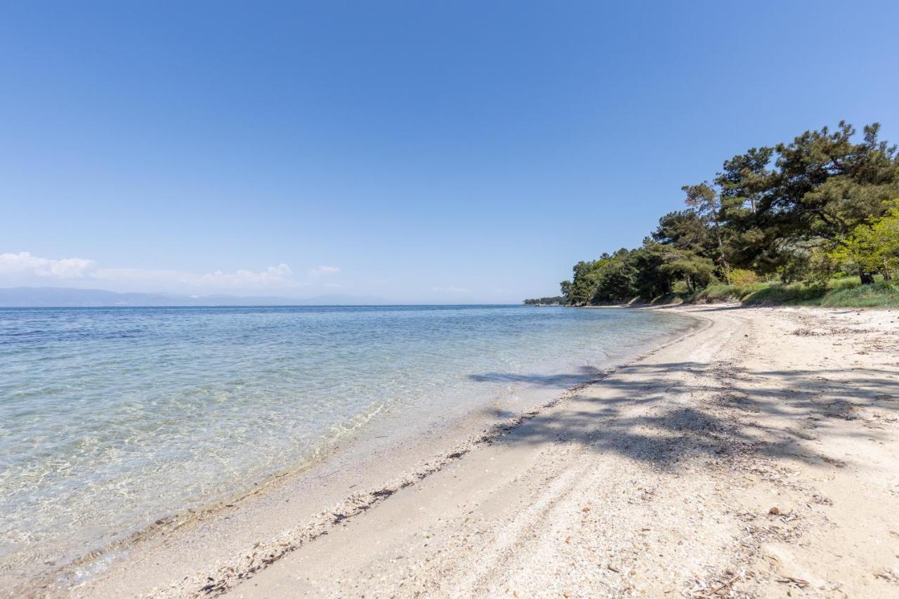 Skala Rachoni  Pinereef Blueヴィラ エクステリア 写真